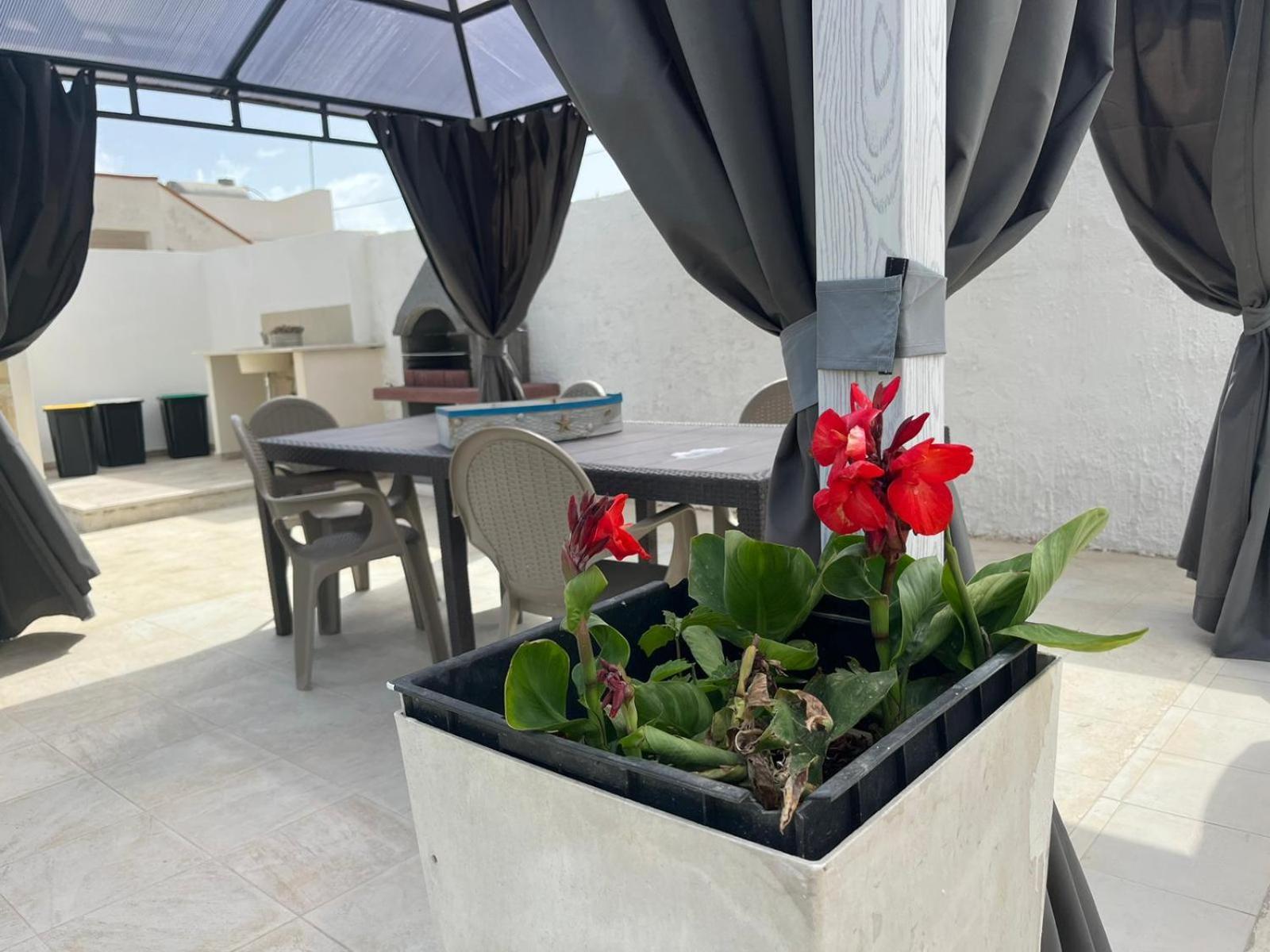 Villa Tellina Mare Luna Granelli Exteriér fotografie